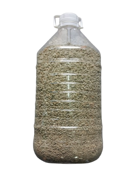 StarCats-scaled-removebg-preview