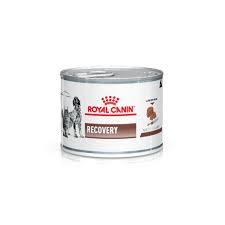 Royal Canin Recovery 195 grs